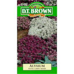 Photo of D.T.Brown Seeds Alyssum Pastel Carpet