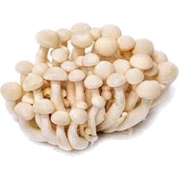 Photo of White Beech Mushrooms