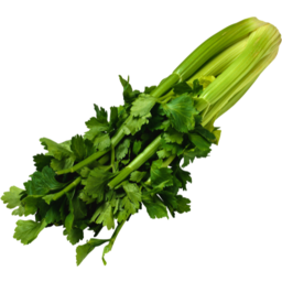 Photo of Celery Organic Half
