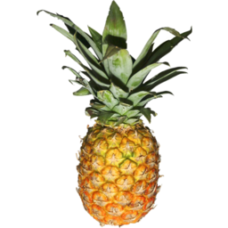 Photo of Box Pineapple