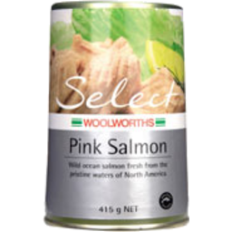 Photo of Ww Salmon Pink 415g