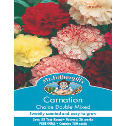 Photo of Mr Fothergill’s Carnation Choice Double Mixed