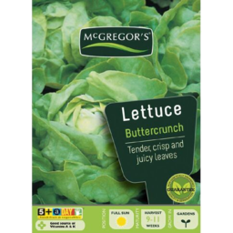 Photo of McGregor's Seed Lettuce