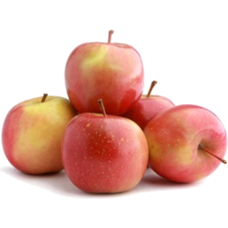 Photo of Organic Fuji Apples *NEW SEASON*