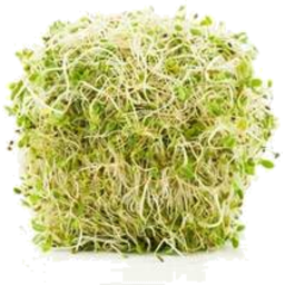 Photo of Parilla Salad Sprouts 125 Gr 