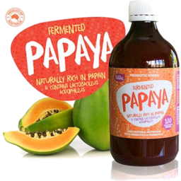 Photo of Probiotic Foods - Fermented Papaya -