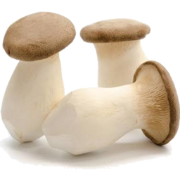 Photo of Umami Mushrooms King Oyster Each