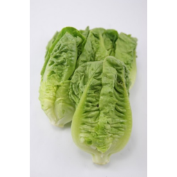 Photo of Lettuce Cos Twin Pack