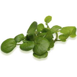 Photo of Watercress Leaves 100gm