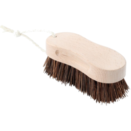 Photo of Beech Brush Scrubbing 15cm