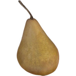 Photo of Pears Beurre Bosc