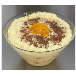 Photo of Trifle Catering Bowl