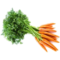 Photo of Carrots Spring Bunched