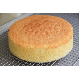 Photo of Sponge Cake Round Plain