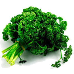 Photo of Parsley Curly Each