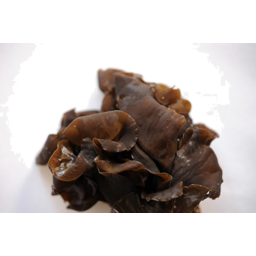 Photo of Mushroom Black Fungi