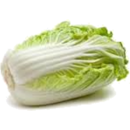 Photo of Cabbage Sugarloaf Ea P