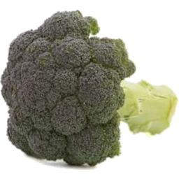 Photo of Organic Broccoli kg