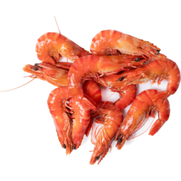 Photo of Clamms Extra Large Tiger Prawns Cooked Kg