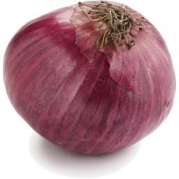 Photo of Onions - Spanish