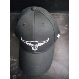 Photo of Truckers Hat