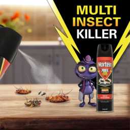 Photo of Mortein Powergard Insect Spray Multi Insect Killer 300g 300g