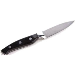 Photo of Stay Sharp Paring Knife 9cm