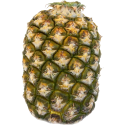Photo of Pineapple Topless