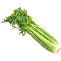 Photo of Celery Pieces Pack