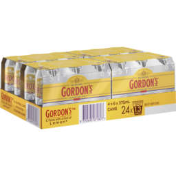 Photo of Gordons Gin & Tonic Cans Carton 