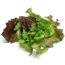 Photo of Salad Mix - Cert Org