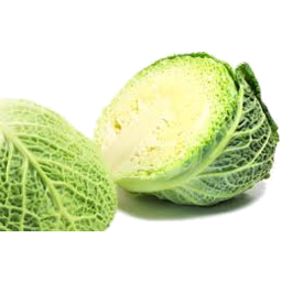 Photo of Cabbage Savoy Half