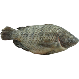 Photo of Tilapia Gilled Gutted Scaled 6/8 /Kg