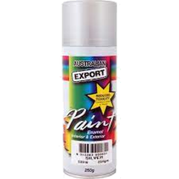 Photo of Spray Paint Export Silver 
