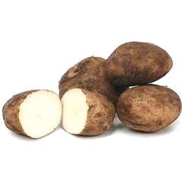 Photo of Potato Sebago Organic