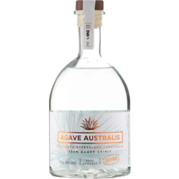 Photo of Agave Australis Silver Agave Spirit