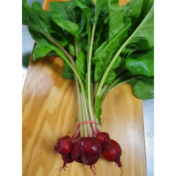 Photo of Beetroot Chioggia Bunch