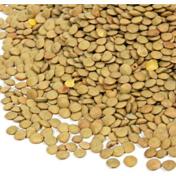 Photo of Lentils Green Org. Bulk /Kg