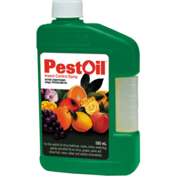 Photo of Pest Oil Conc.