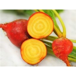 Photo of Beetroot - Loose Gold