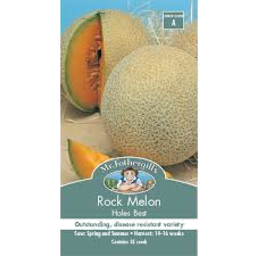 Photo of Seed Rock Melon Hales Best A