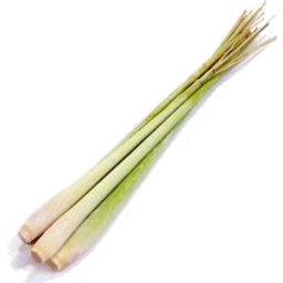 Photo of IGA Lemon Grass