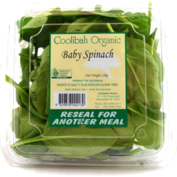 Photo of Pre Pack Baby Spinach 120g Organic
