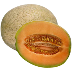 Photo of Organic Rockmelon