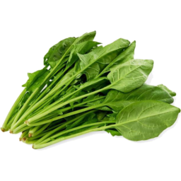 Photo of Spinach Japanese Ea