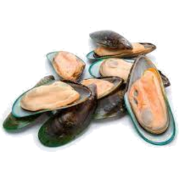 Photo of N.Z Half Shell Mussels 1kg