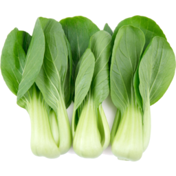 Photo of Bok Choy Baby Bunch