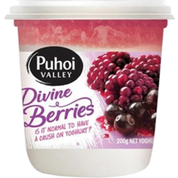 Photo of Puhoi Valley Yoghurt Divine Berries 200g