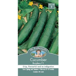 Photo of Seed Cucumber Burpless F1 D
