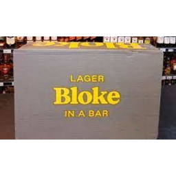 Photo of Bloke In A Bar Lager 24*375ml